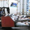 Photo: Loading tuna