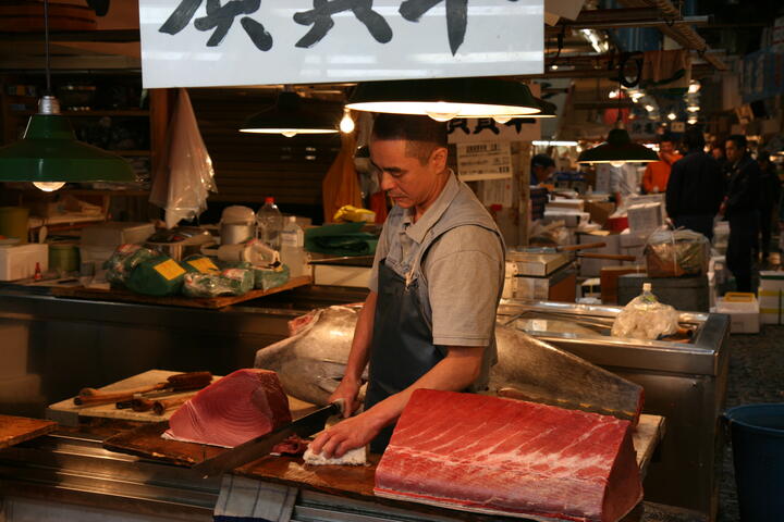 Cutting tuna