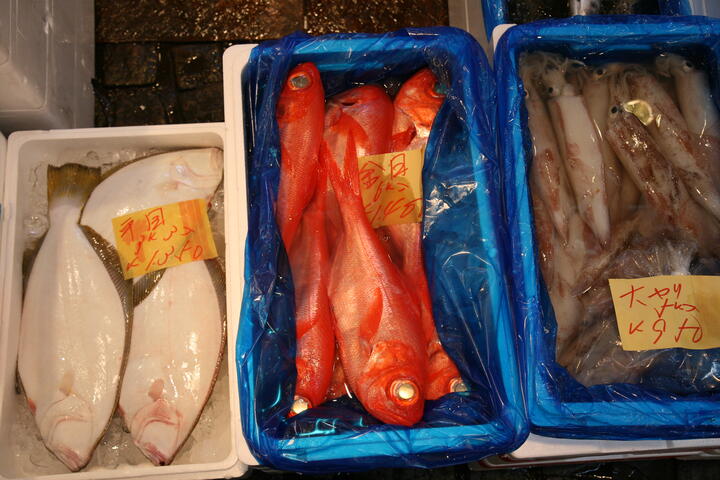 Various fish