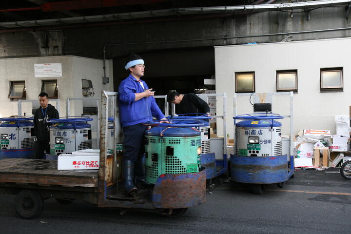 Blue carts