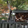 Next: Kyoto, Japan