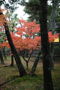 Photo: Kyoto, Japan