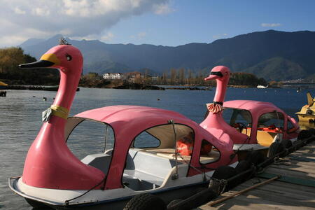 Photo: Pink goose boats