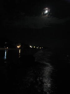 Photo: Moonlight