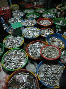 Photo: Fish market