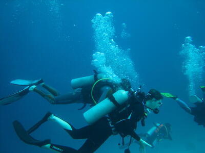 Photo: Scuba divers