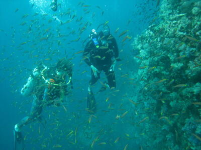 Photo: Scuba divers