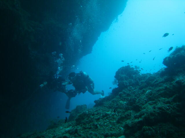 Divers