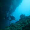 Photo: (keyword diving)