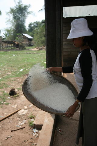 Girl with rice