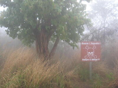 Photo: Foggy sign