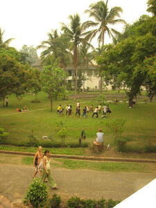 Photo: Museum grounds