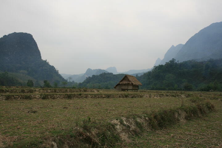 Dry rice paddies