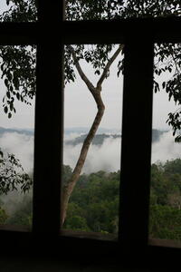 Photo: View from treehouse #3