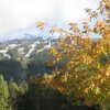 Photo: Whistler in fall