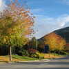 Photo: Whistler in Fall