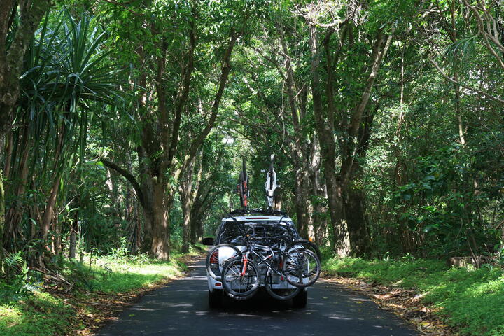 Pahoa-Pahoiki Road