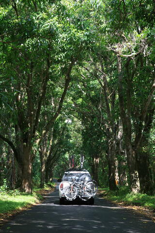 Pahoa-Pahoiki Road