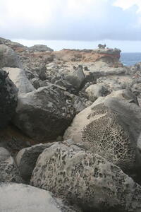 Photo: Lava rocks