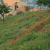 Photo: Colorful hillside