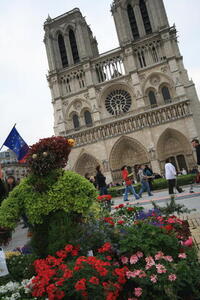 Photo: Notre Dame cathedral