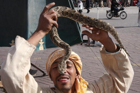 Photo: Snake charmer