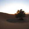 Photo: (keyword desert)