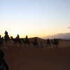 Next: Camel trek