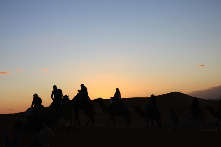 Camel trek