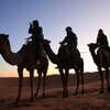 Photo: (keyword camel)