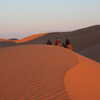 Next: Camel trek