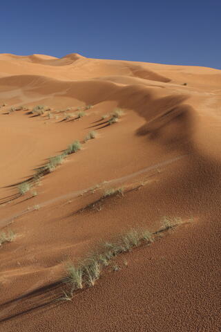 Sand dunes