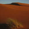 Photo: Sand dunes