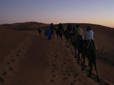 Photo: Camel caravan
