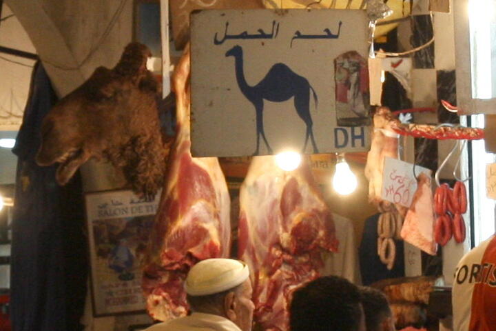 Camel butchery