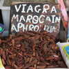 Photo: Moroccan Viagra