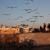 Photo: Essaouira