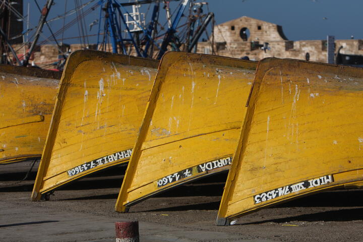 Yellow boats