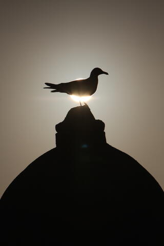 Essaouira