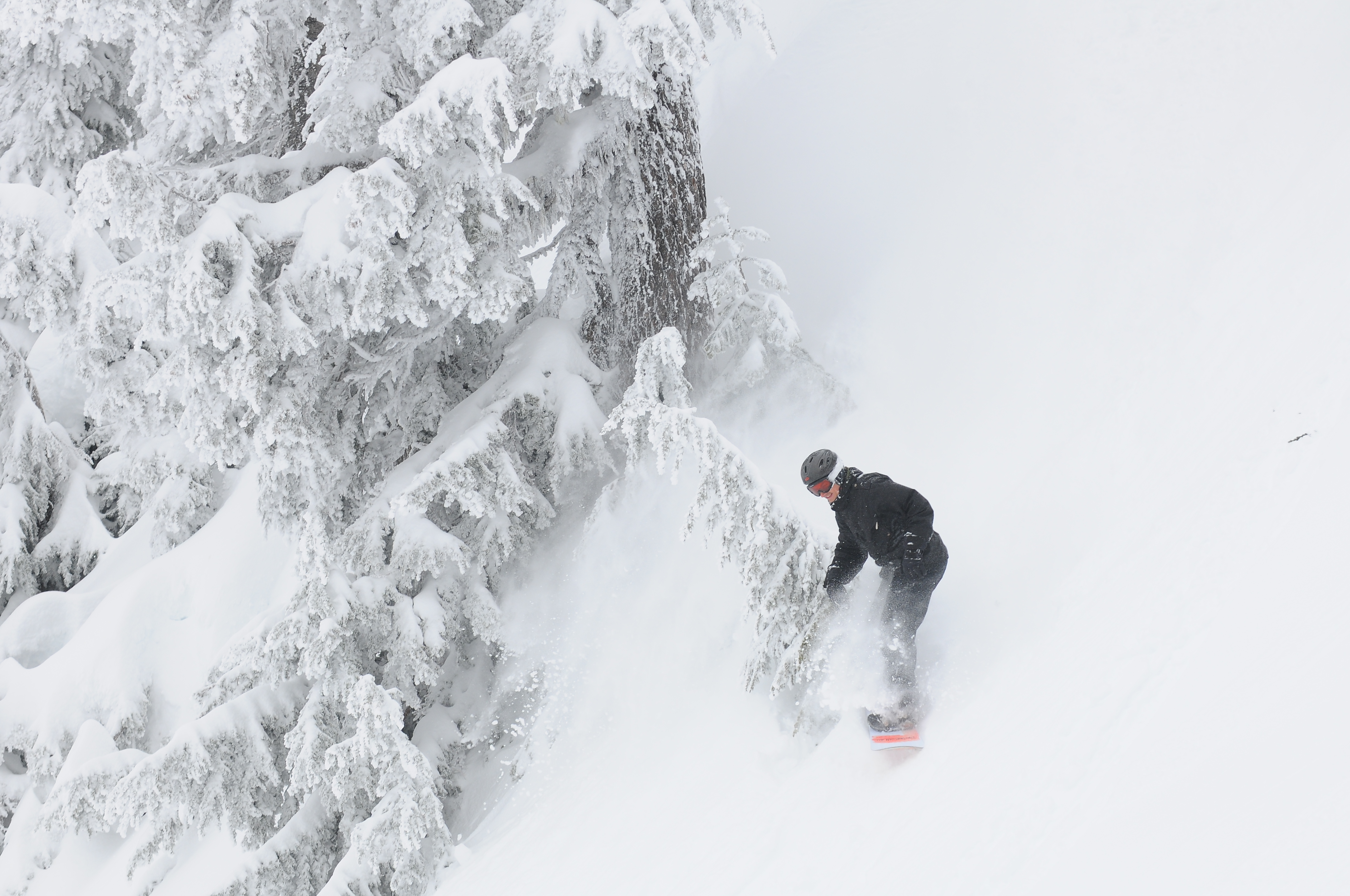 Cat skiing
