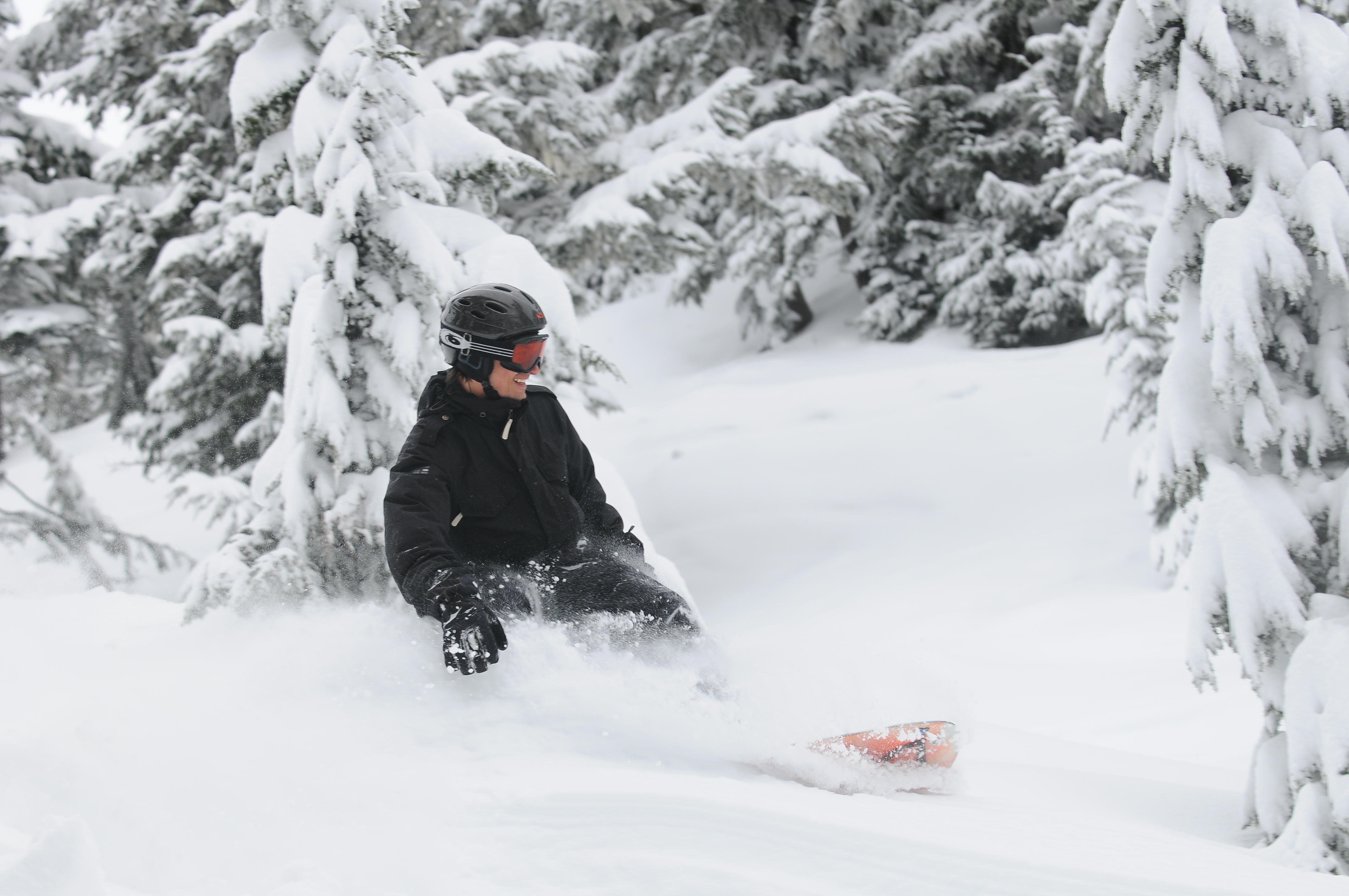 Cat skiing