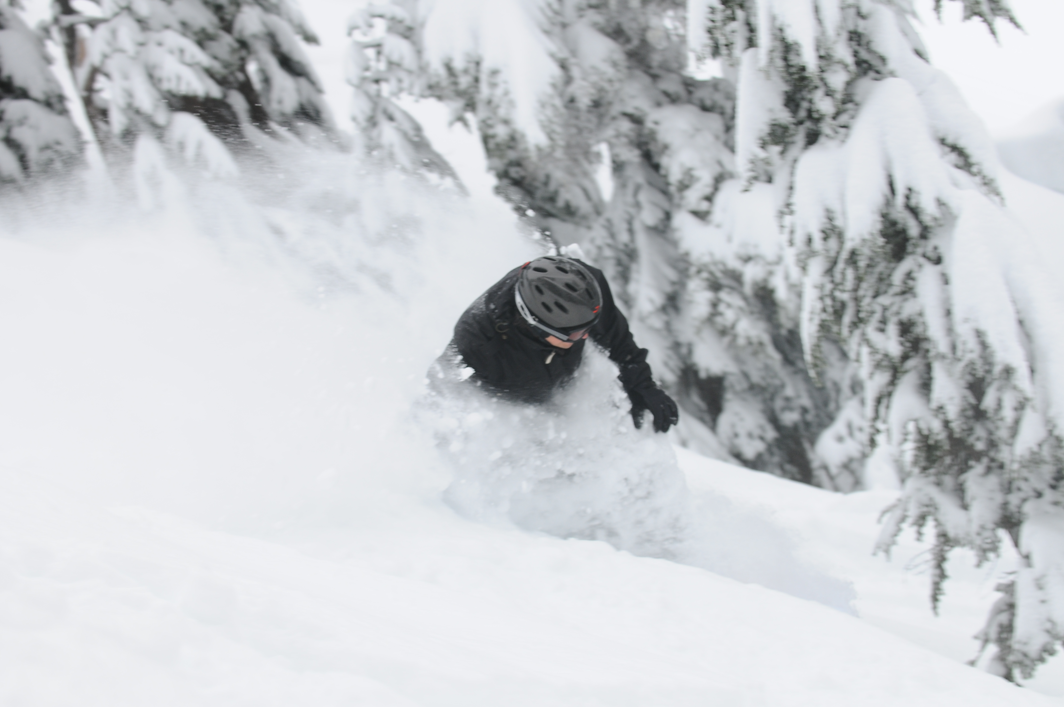 Cat skiing