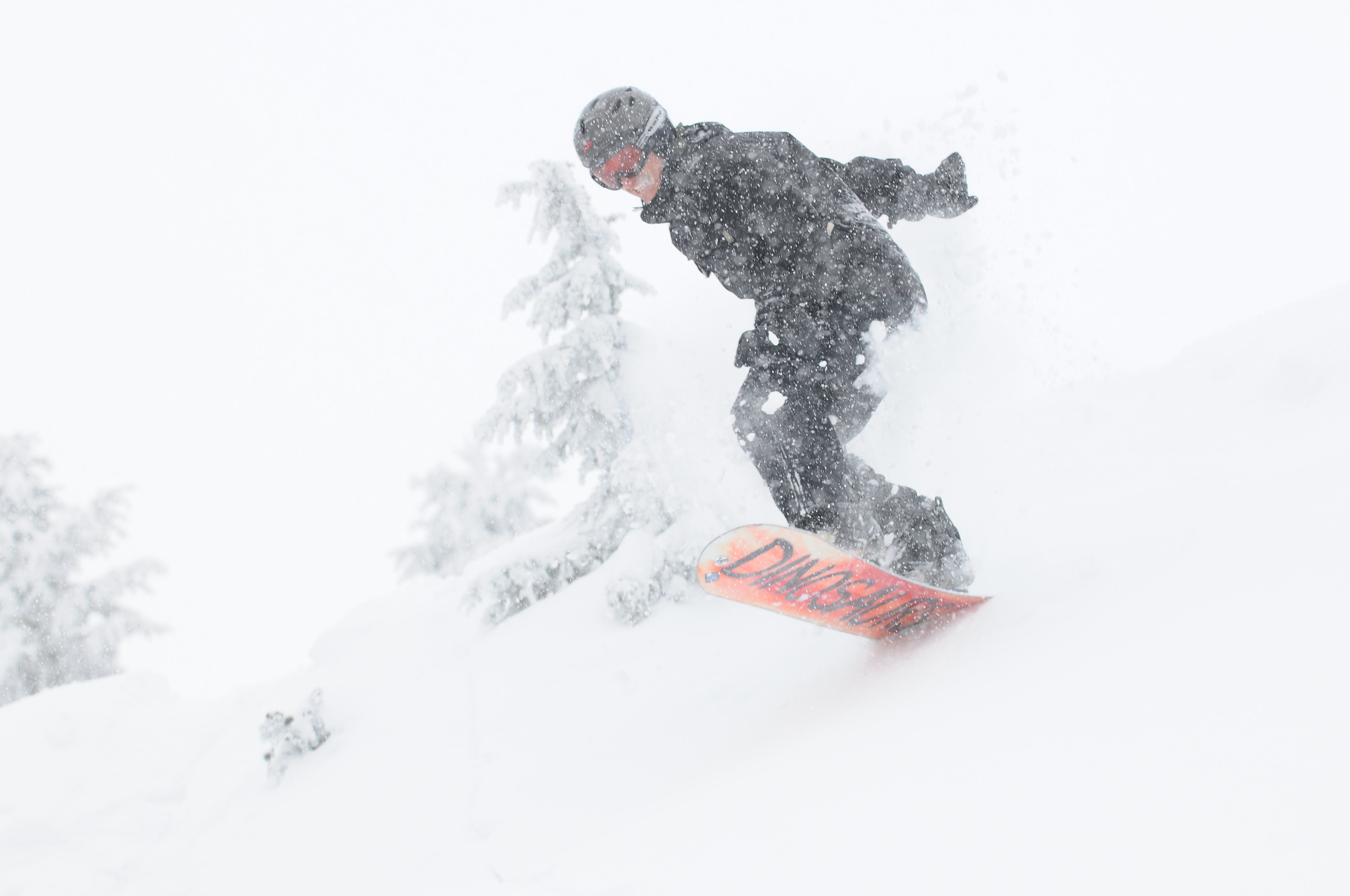 Cat skiing