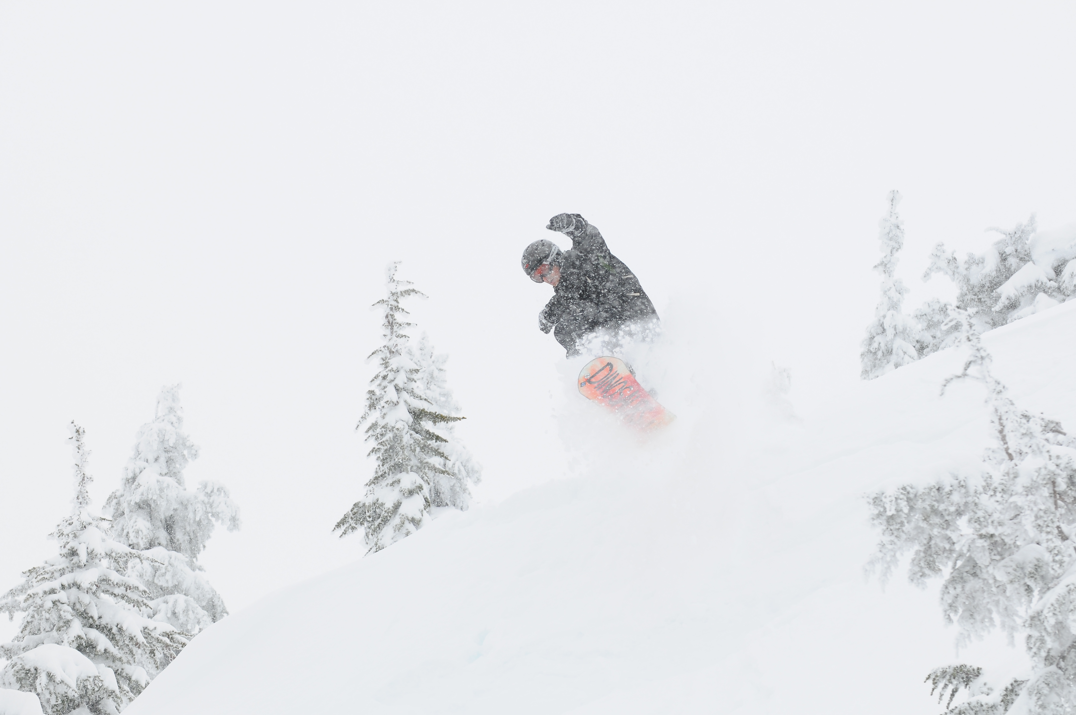 Cat skiing