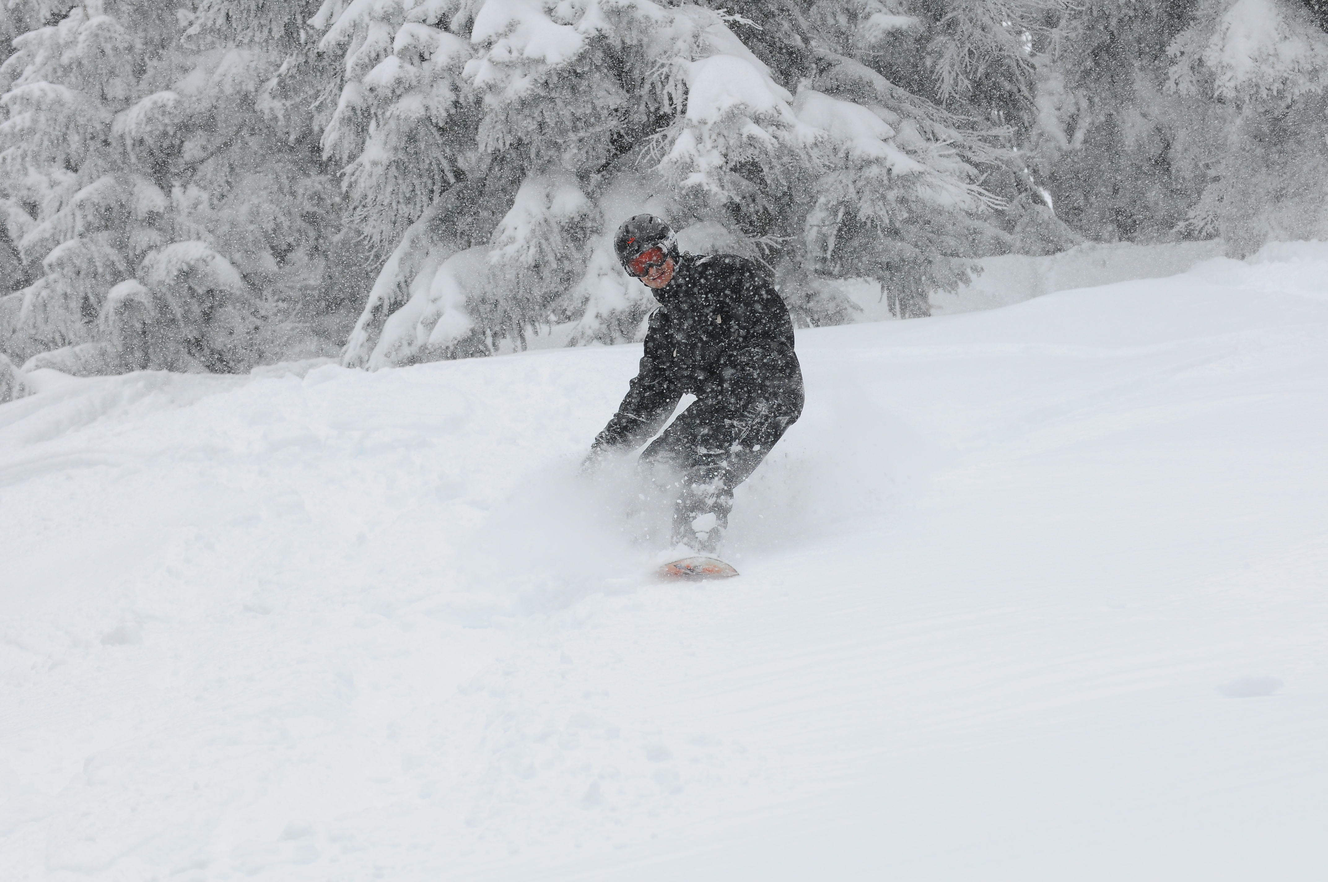 Cat skiing