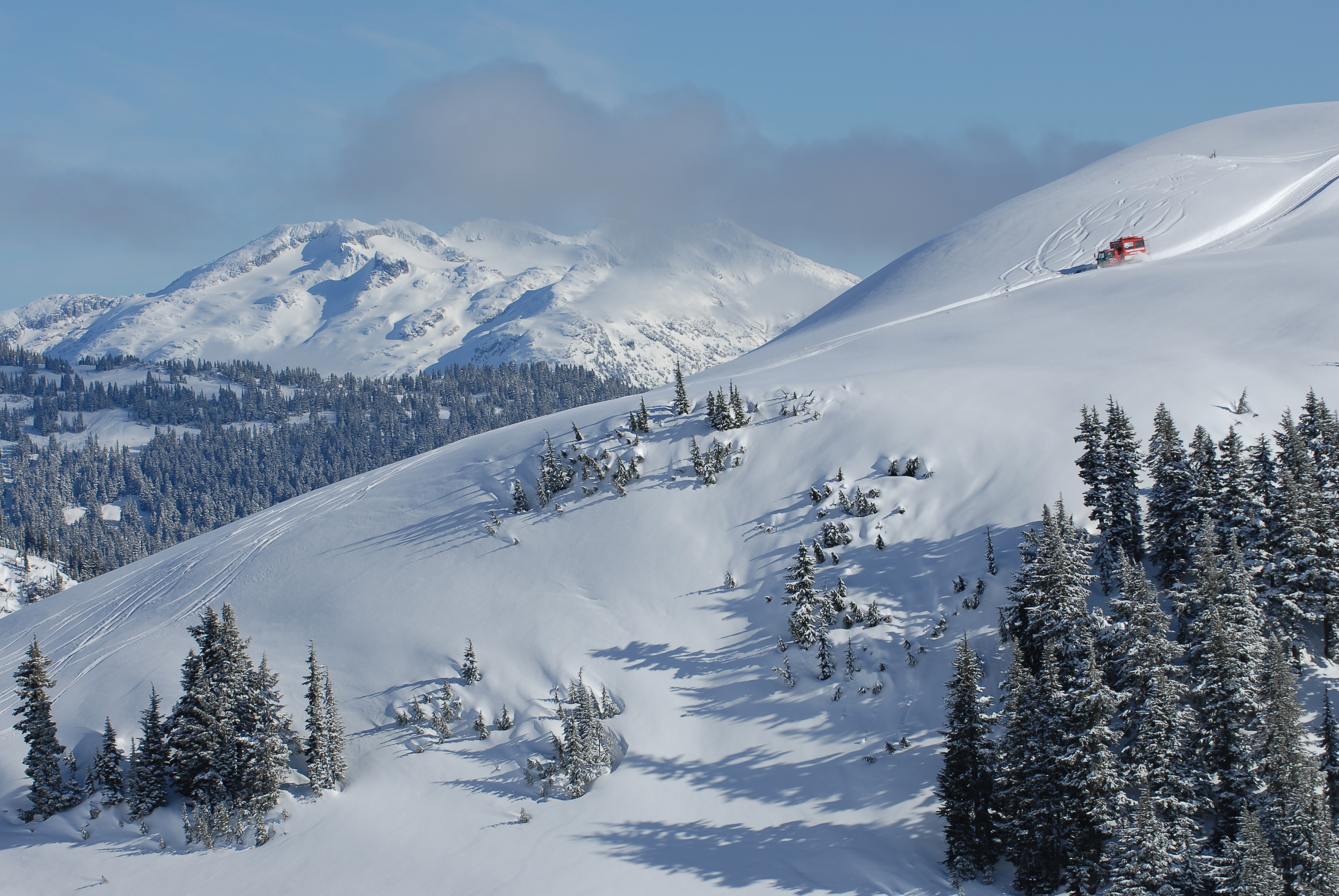 Cat skiing